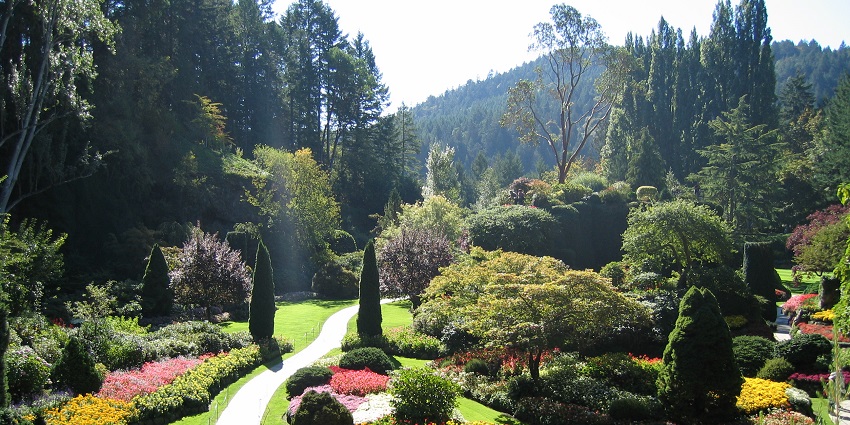 The Ross Fountain at Butchart Garden with red flowers in the front and tall trees at the back