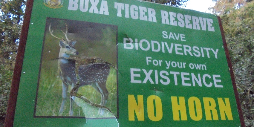 A picture of the Buxa Tiger Reserve, which offers the best jungle safari in West Bengal.