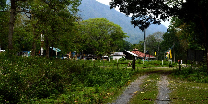 Visit Buxa Tiger Reserve, a top-tier National Park in West Bengal.