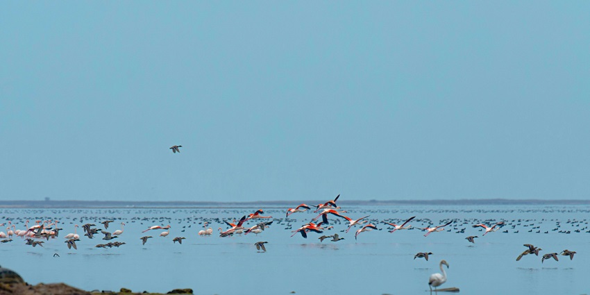 Buzovna is among the famous beaches offering sunbathing, swimming, and seaside views.
