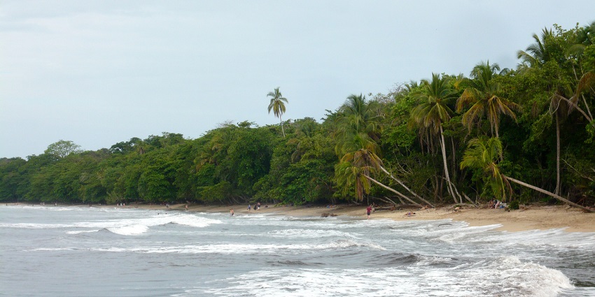 A picture of Cahuita National Park, known for snorkelling.