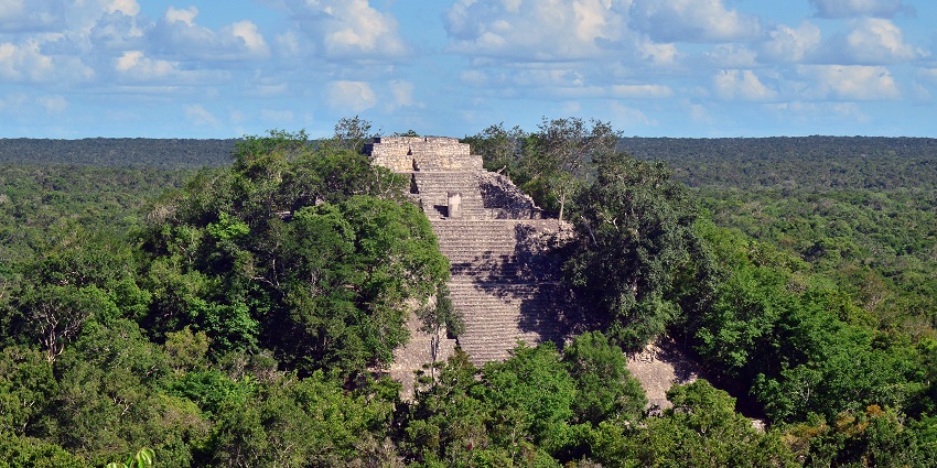 A distant view of an ancient pyramid made up of stones surrounded by a green forest