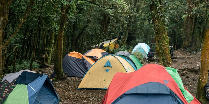 Camp Riverwild offers thrilling outdoor adventures and riverside luxury camping in Jim Corbett