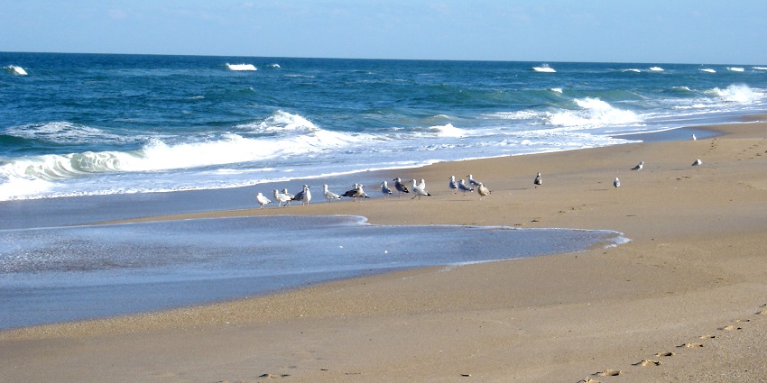 An image of Canaveral National Seashore - popular beaches in Orlando Florida