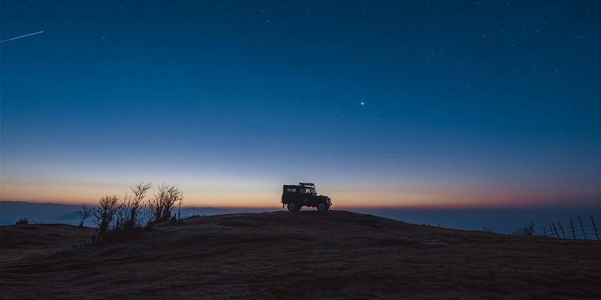Spot microbats, wombats, tree frogs, possums and wallabies on a Canberra Safari.