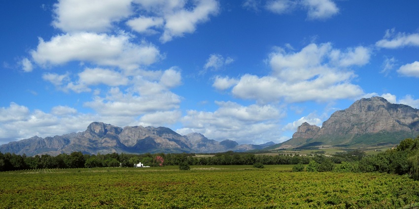 Serene environment of Cape Winelands, a place to visit in South Africa