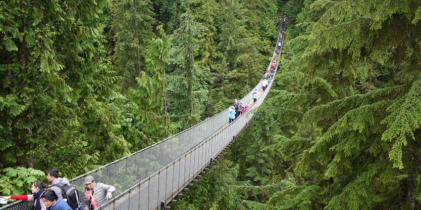 In this theme park, people are present on both sides of the Capilano Suspension Bridge