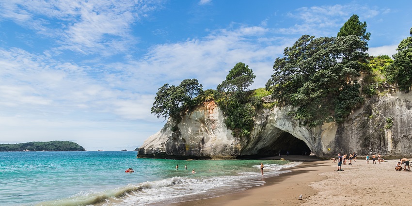 Discover the breathtaking beauty of Cathedral Cove beach in New Zealand