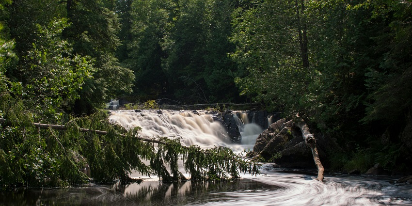 Wanggoolba Creek, a quiet haven surrounded by rich greenery on the Island in Australia.