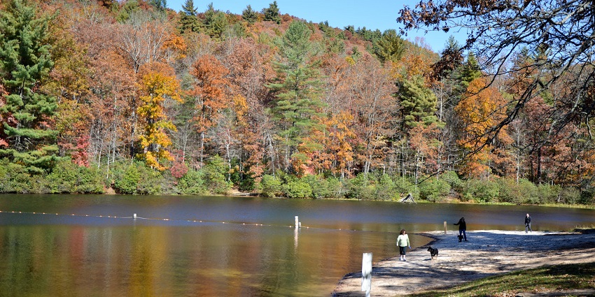 Immerse in nature with scenic hikes, wildlife, and serene landscapes at Chattahoochee Park.