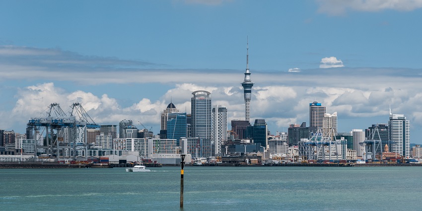 Cheltenham Beach, a serene and charming beach which is most suitable for families.