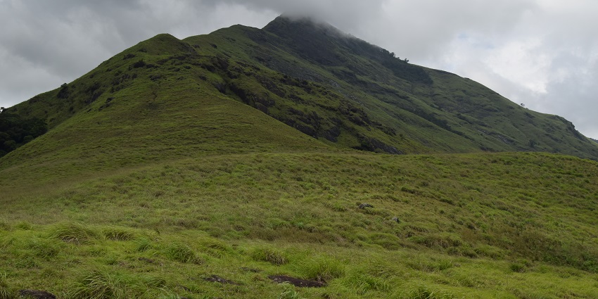 A picture of the scenic landscapes on the way to Chembra Peak, a famous trek.