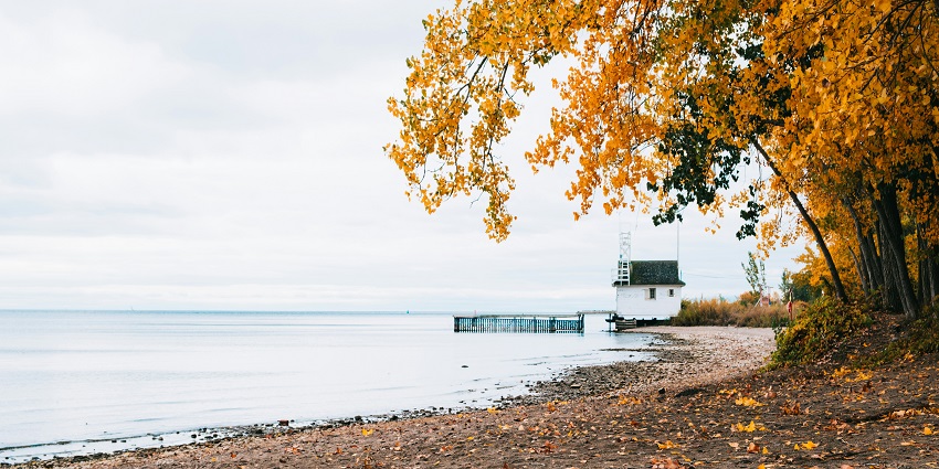 Crystal clear waters and sandy shores of Cherry Beach with lush green surroundings.