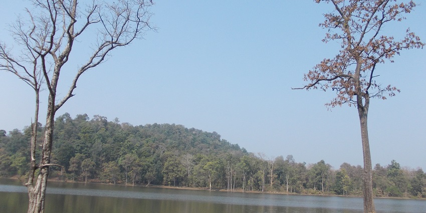 A view of Nagzira Lake, surrounded by a peaceful environment and lush greenery.