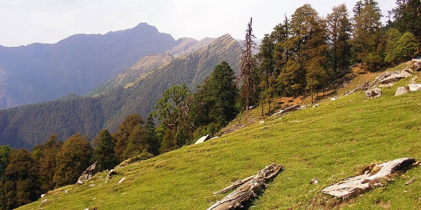 A picture of a lush green valley with trees and views of the Himalayas in the background