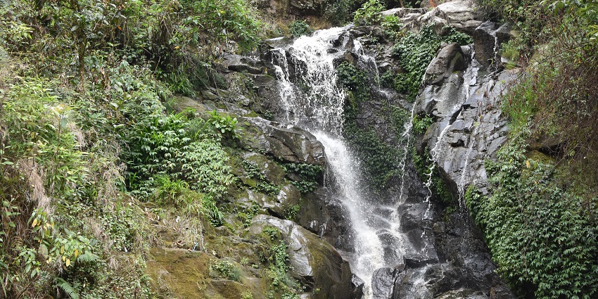 A picture of Chunnu Waterfalls, a serene spot in Darjeeling with lush surroundings