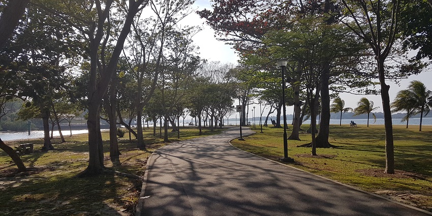 An image of a coastal track to visit and enjoy.