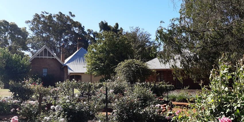 Exquisite garden featuring a wide variety of vibrant roses.