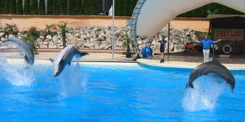 The theme parks in Switzerland offer rides and family-friendly entertainment.
