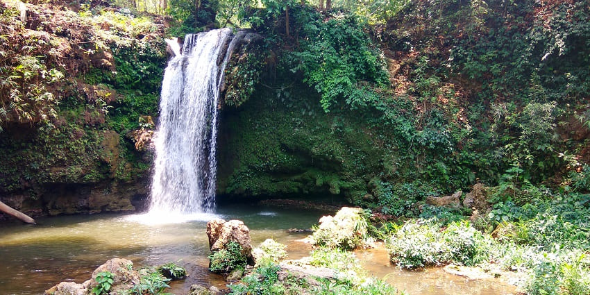 Serene waterfall surrounded by lush greenery, ideal for relaxation.