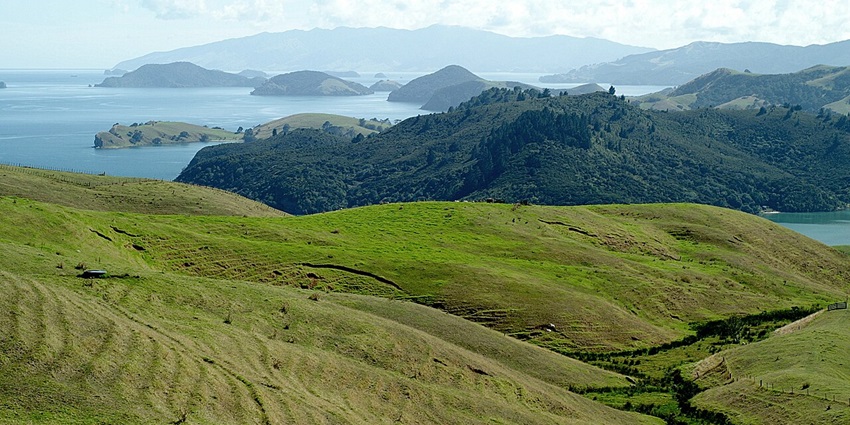 The Coromandel Peninsula is one of the best places to visit in New Zealand in September 