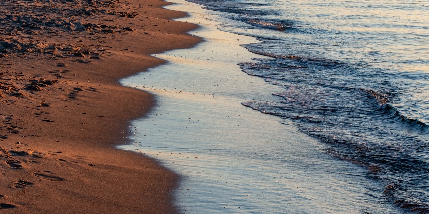 An image of a beach which resembles the Crissy Field Beach located in the Bay Area.