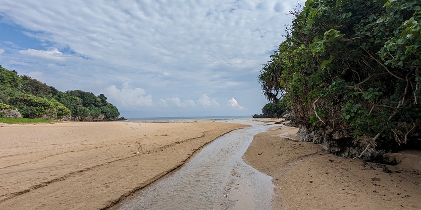 Beaches In Ontario: Home To The Scenic Beaches Of Canada - Tripxl