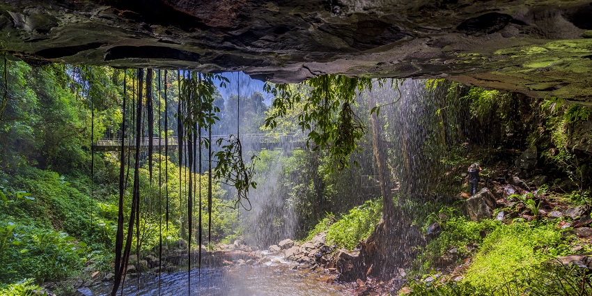 This gentle waterfall in Australia is framed by a suspension bridge in NSW’s