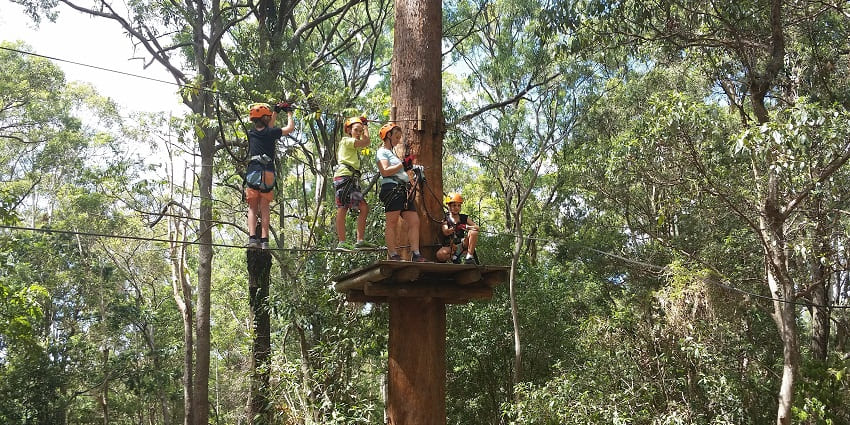 Visitors engaging with native wildlife at Currumbin Wildlife Sanctuary in Australia