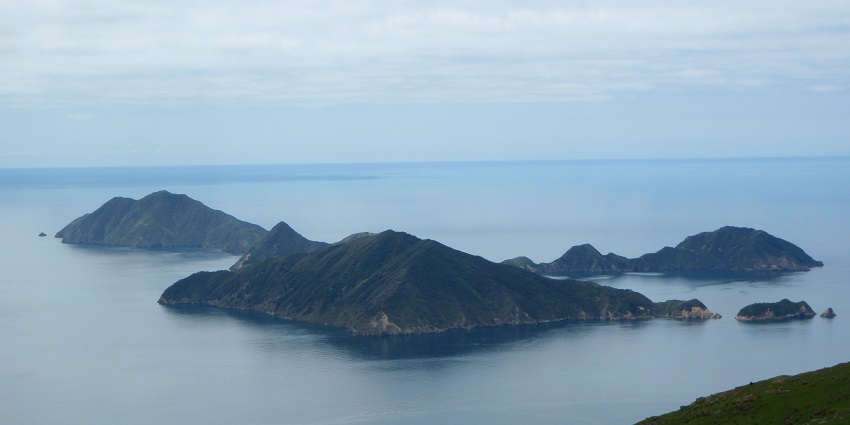 d'Urville Island, a secluded island near New Zealand