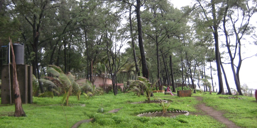 An image view of the peaceful Dahanu Beach with waves lapping at the shore.