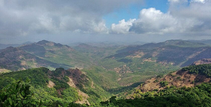 A beautiful view of Dajipur Wildlife Sanctuary, which is located in Radhanagari.