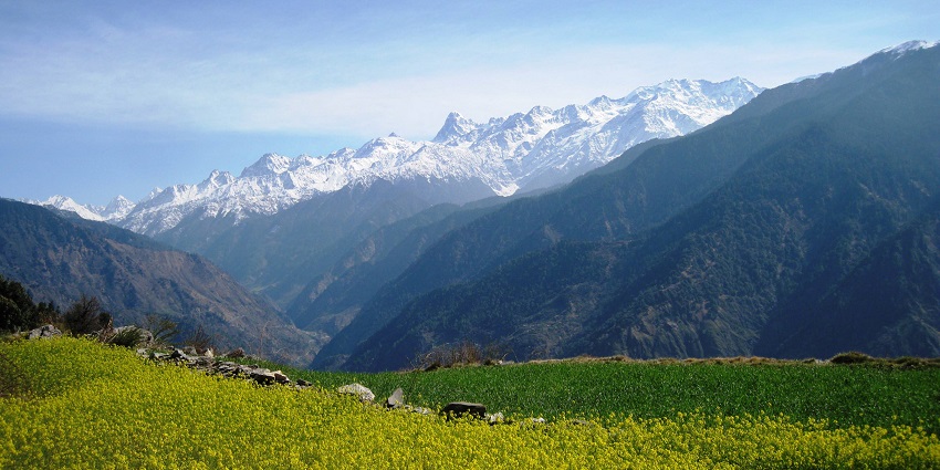 A glimpse of high-altitude meadows offering stunning views of snow-capped peaks.