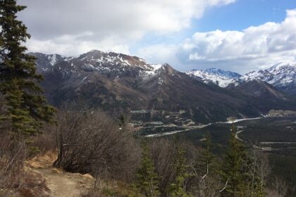 Impressive Denali National Park has tall mountains, lush woods, and lots of wildlife.