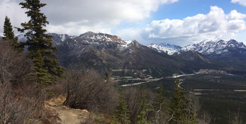 Impressive Denali National Park has tall mountains, lush woods, and lots of wildlife.