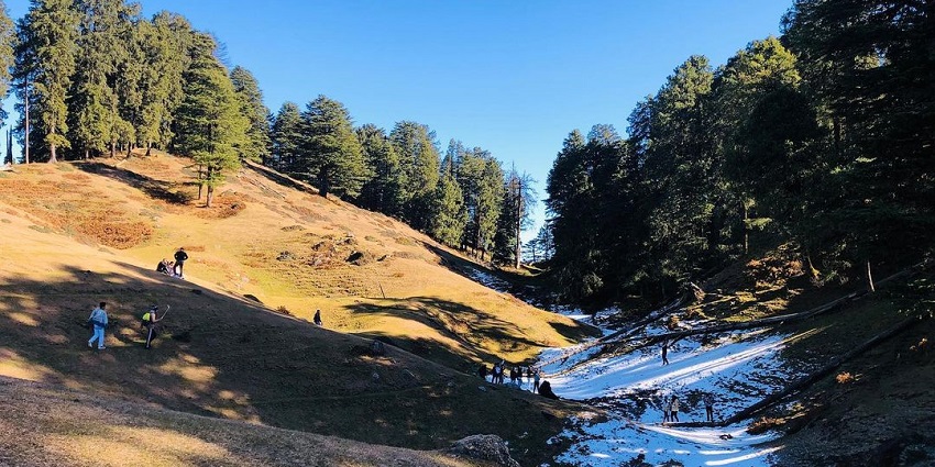 Tranquil trek through forests with breathtaking views of the Garhwal Himalayas.