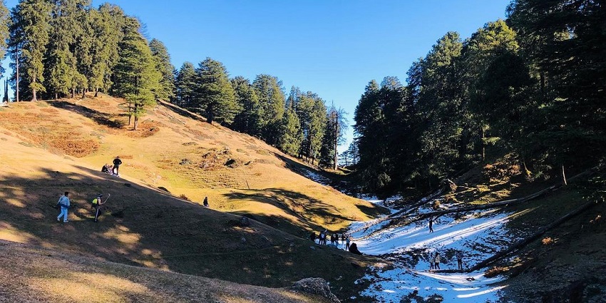 An image of dense forest area offering panoramic Himalayan views and birdwatching.