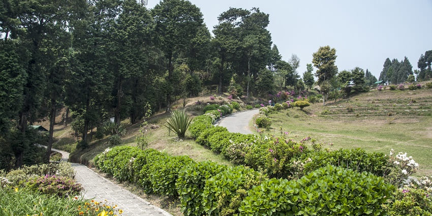 Visiting the tallest Deolo Hill near Neora Valley National Park in West Bengal