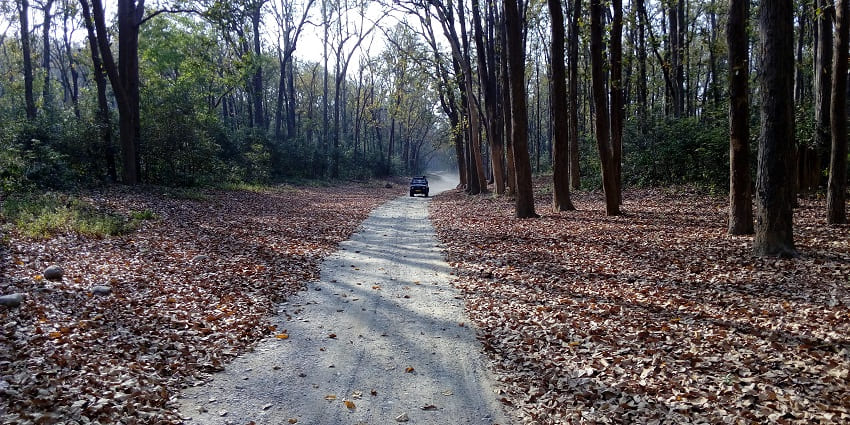 Popular wildlife area offering stunning views and diverse fauna.