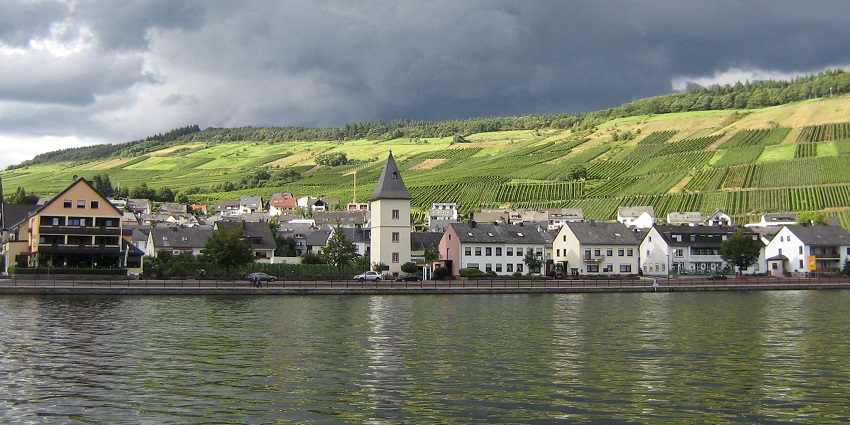 Explore vineyards and enjoy wine-tasting tours along the Moselle River