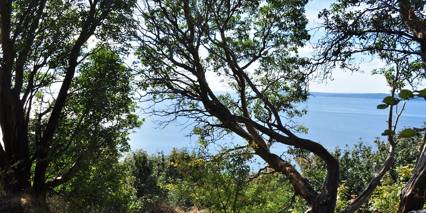 The Discovery Park is located on Atkinson Street in Liverpool in Seattle, Washington.