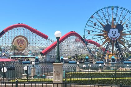 View of Disney's California Adventure Park with Ferris wheel and roller coaster rides