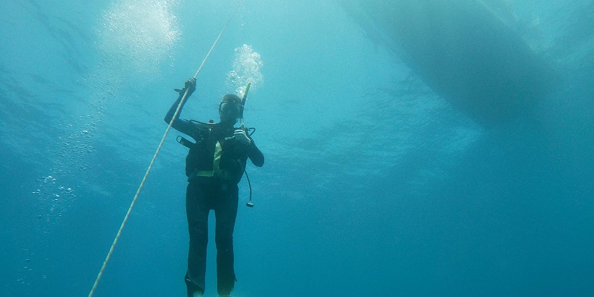 Thrilling underwater exploration adventures for diving enthusiasts and marine lovers.