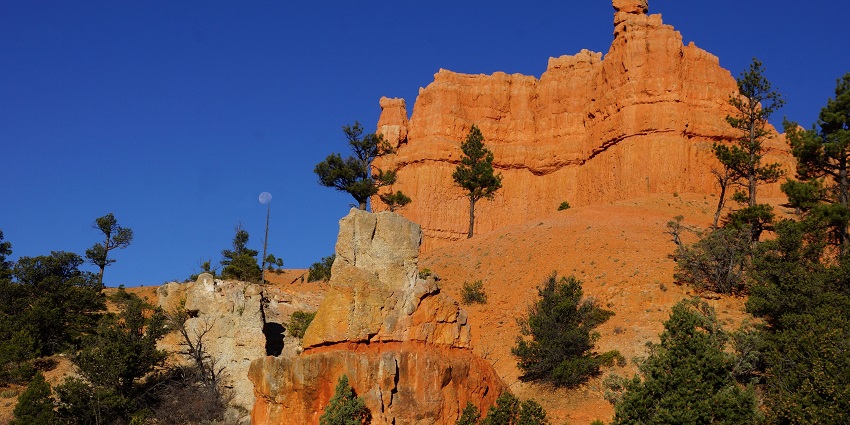Scenic view of Dixie National Forest, the best place near Bryce Canyon National Park with dense pine trees.
