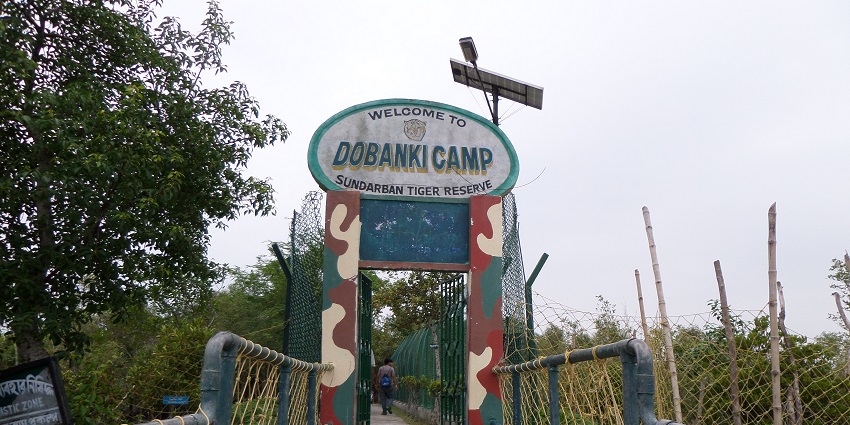 Picture of the Dobanki Cam, the best place to visit around Sajnekhali Wildlife Sanctuary.