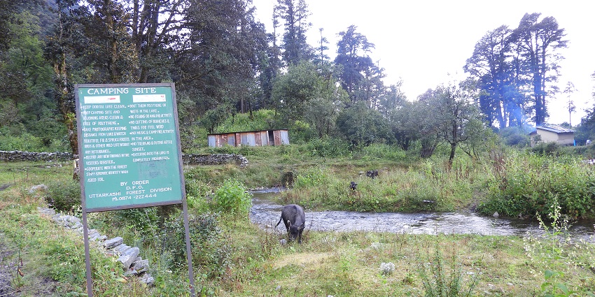 Experience the scenic trek to Dodital Lake, surrounded by forested landscapes.