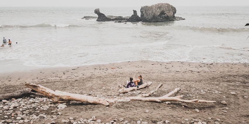An image showing a view of Driftwood Beach, one of the beaches in Georgia, USA.