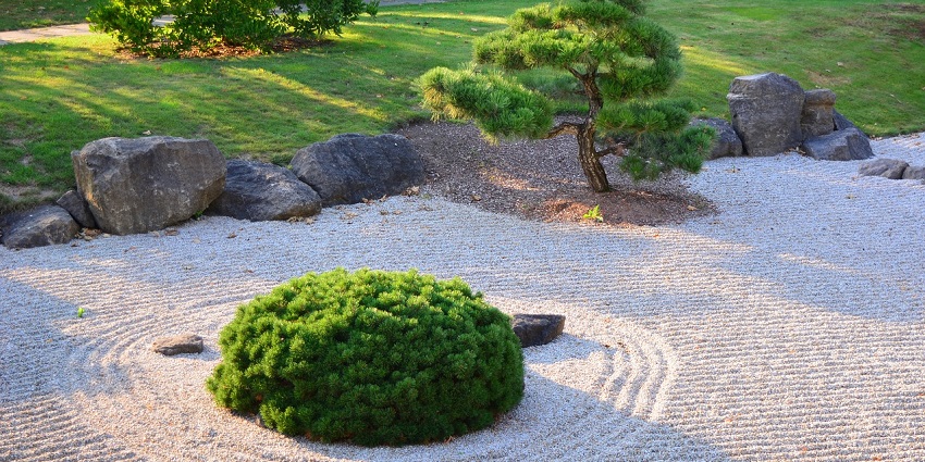 A traditional Japanese Zen garden with carefully placed rocks and a small pine tree