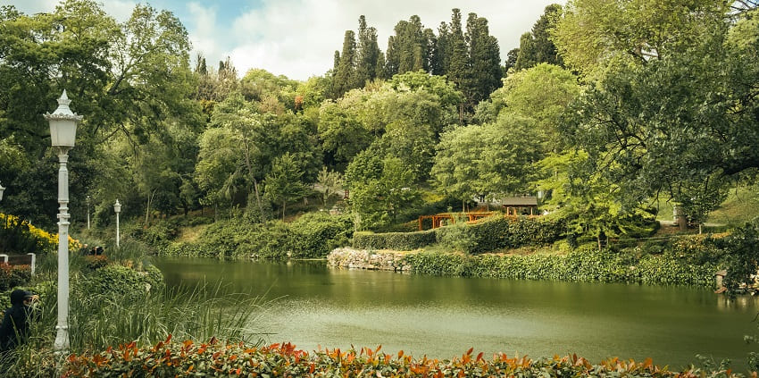 Emirgan Park is among the best places to visit in Istanbul with expansive gardens.