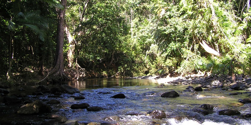 Calm pools of Emmagen Creek nestled within this main destination.